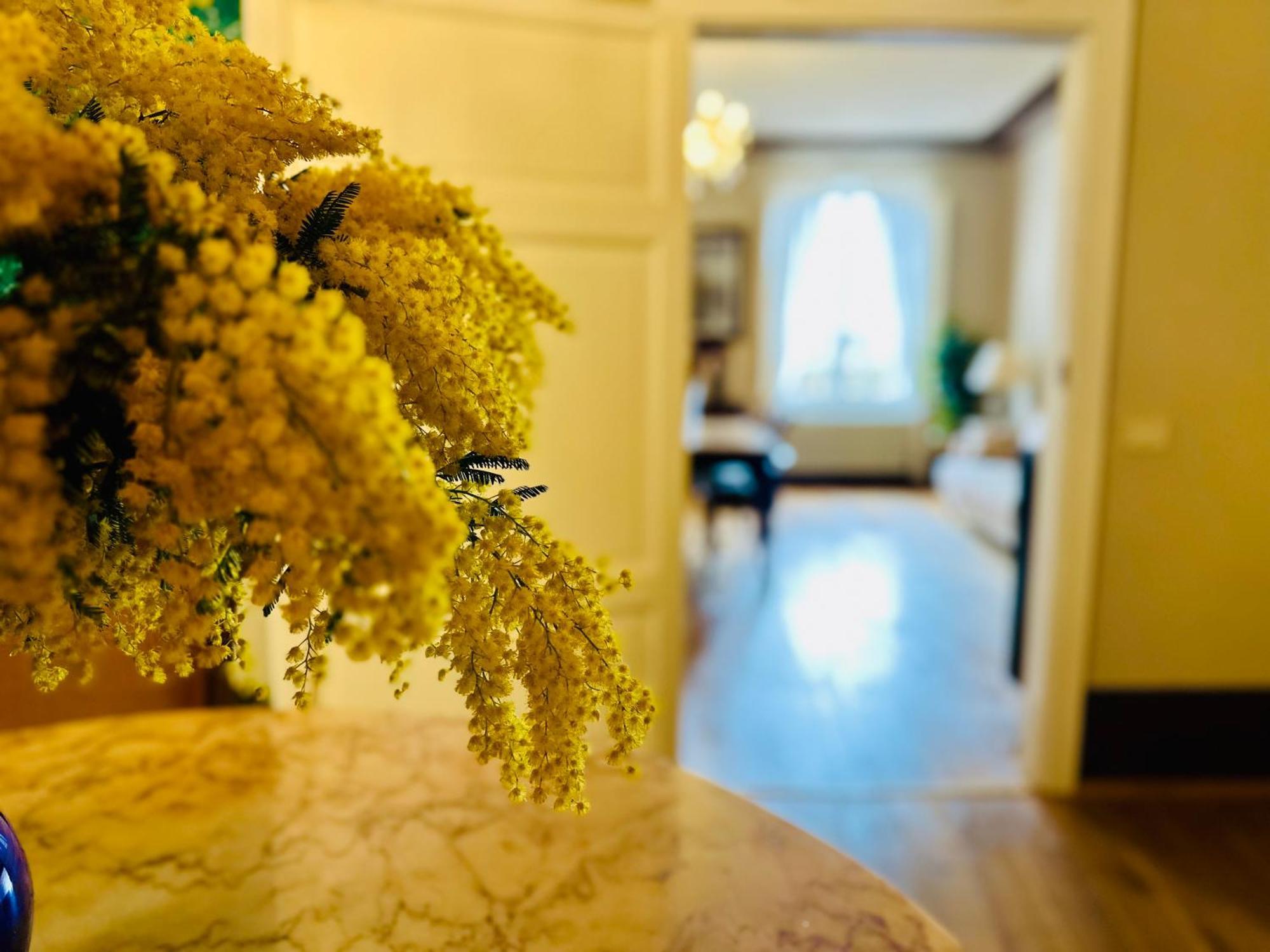 Domus An- Two Bedrooms Apartment -Antique And Historical Home Сиена Экстерьер фото